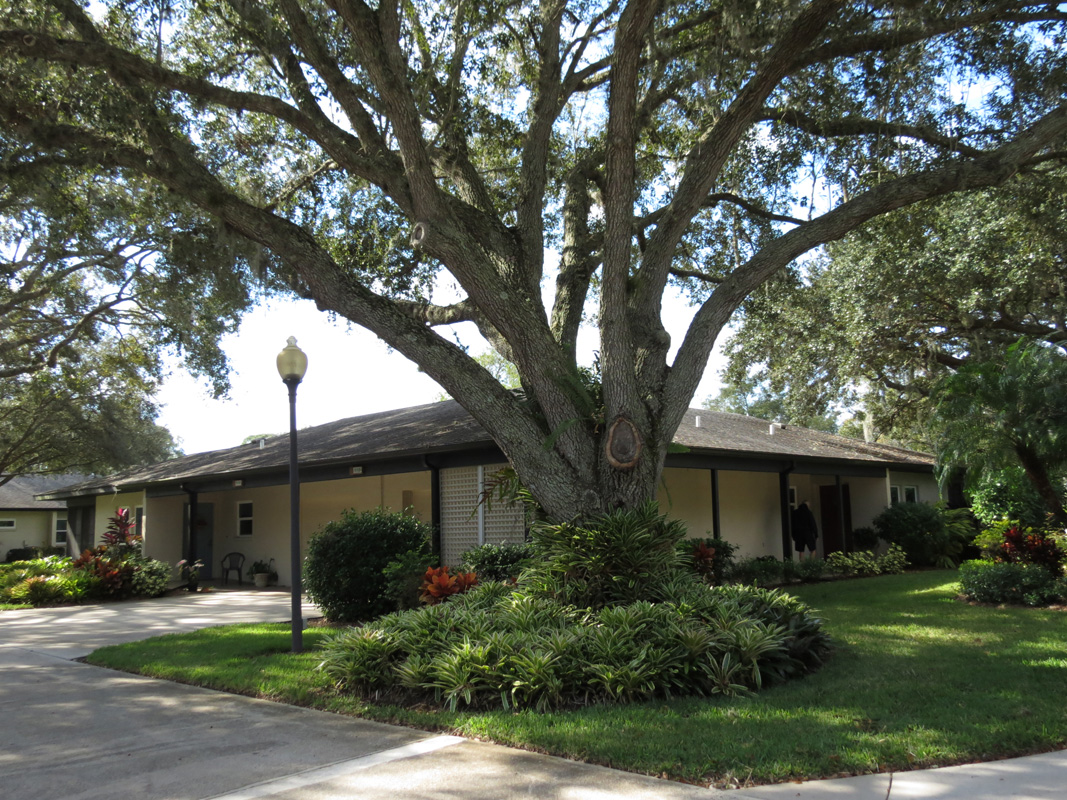 Village Tour Sunnyside Village